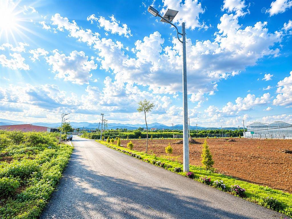 Đất đẹp số lượng có hạn giá tốt đinh văn lâm hà