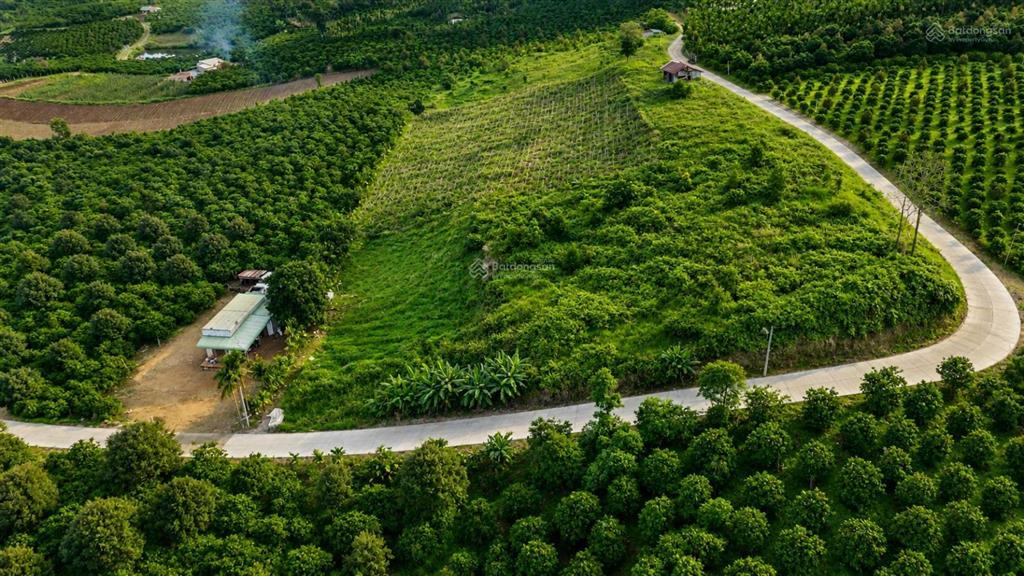Hàng hiếm 1173m2 phúc thọ lâm hà lâm đồng, chỉ 499 triệu/lô