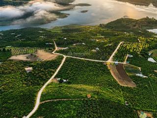 Hàng hiếm 1173m2 phúc thọ lâm hà lâm đồng, chỉ 499 triệu/lô