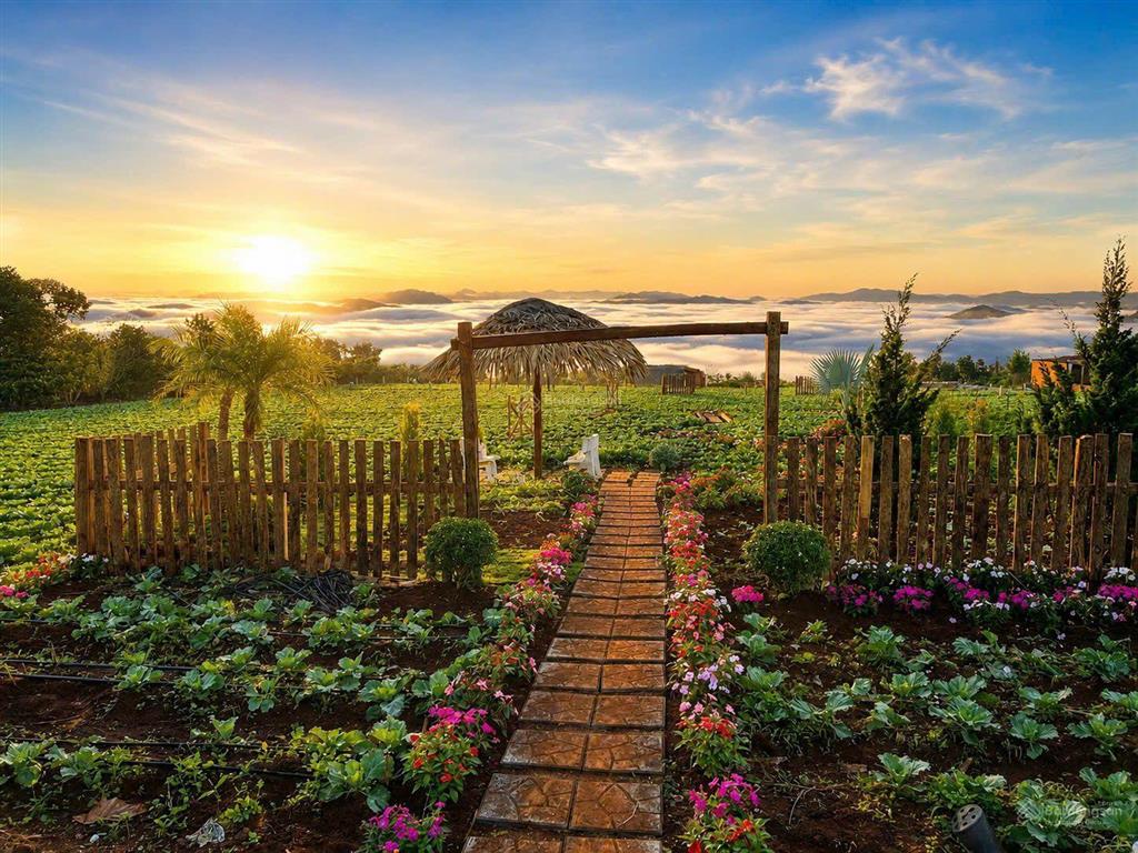 Chỉ 460 sở hữu ngay lô đất view đẹp đinh văn lâm hà lâm đồng