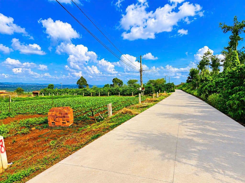 Chỉ 460 sở hữu ngay lô đất view đẹp đinh văn lâm hà lâm đồng