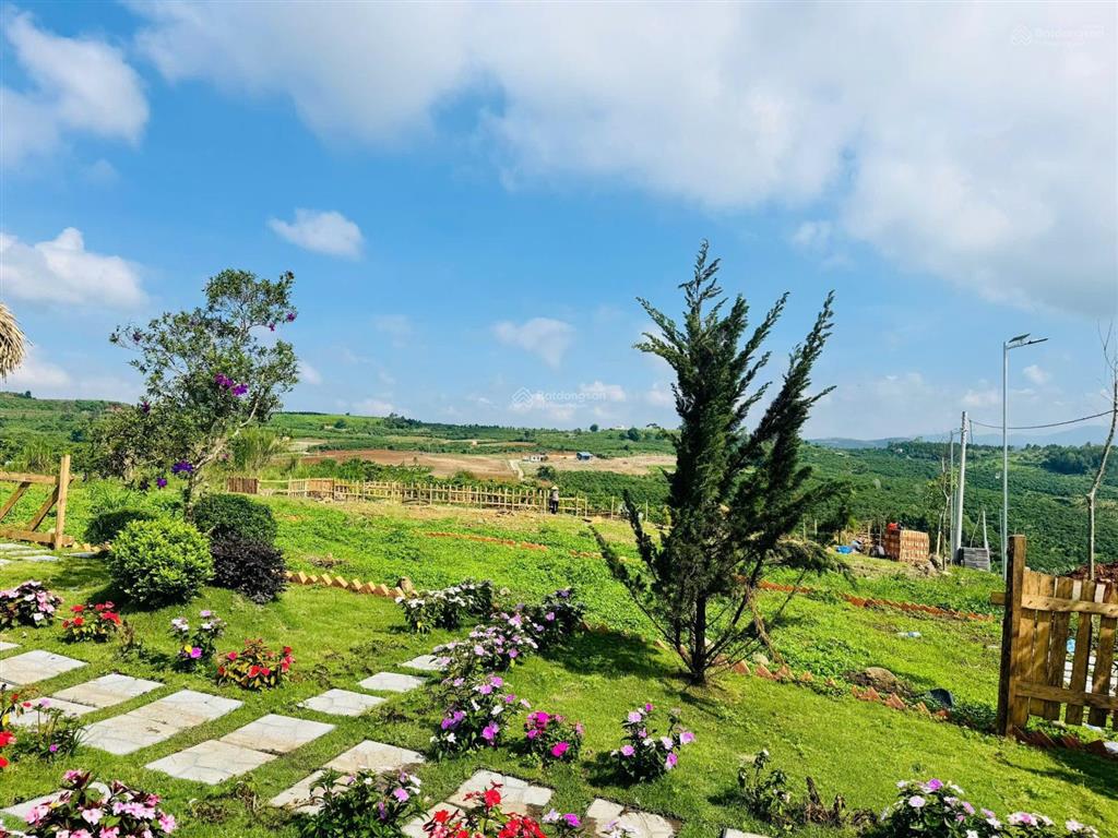 Lô đất đẹp giá siêu hấp dẫn chỉ 439 triệu đinh văn lâm hà lâm đồng