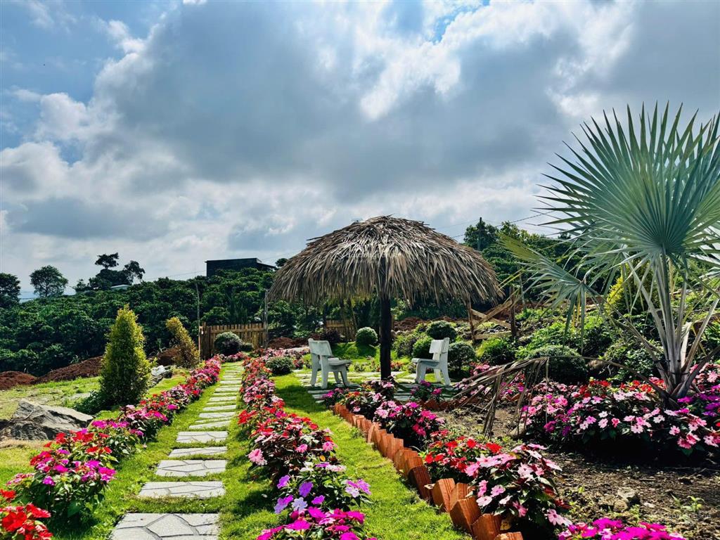 Lô đất đẹp giá siêu hấp dẫn chỉ 439 triệu đinh văn lâm hà lâm đồng