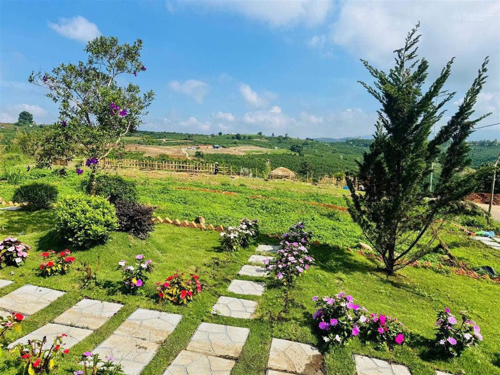 Lô đất đẹp giá siêu hấp dẫn chỉ 439 triệu đinh văn lâm hà lâm đồng
