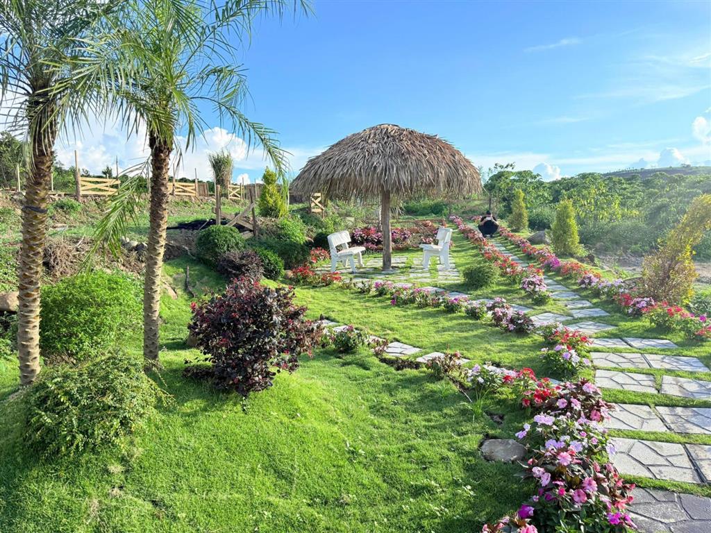Lô đất đẹp giá siêu hấp dẫn chỉ 439 triệu đinh văn lâm hà lâm đồng