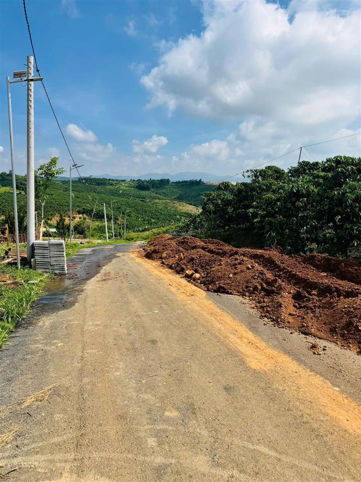 Lô đất đẹp giá siêu hấp dẫn chỉ 439 triệu đinh văn lâm hà lâm đồng