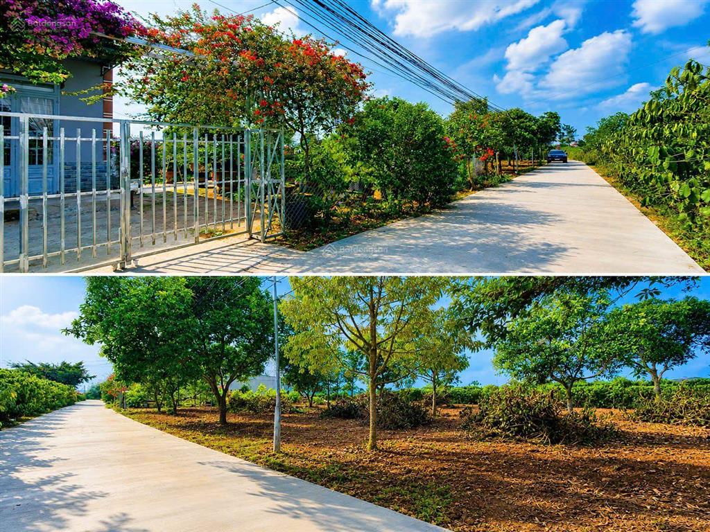 Đất đẹp ngay chợ khu dân cư tân hội đức trọng lâm đồng