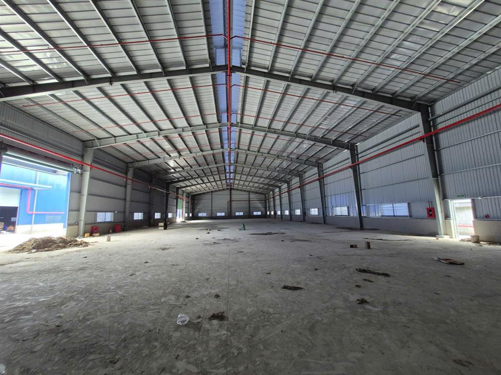 cho thuê nhà xưởng sản xuất kinh doanh XNK, khung thép kiên cố , bàn giao SX liền