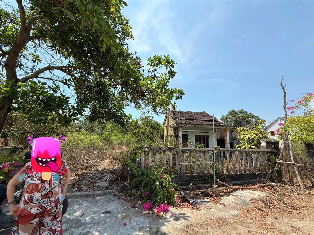 Chủ cần bán lô đất 1021m2 thông ra bãi tắm cửa khe  bình dương .