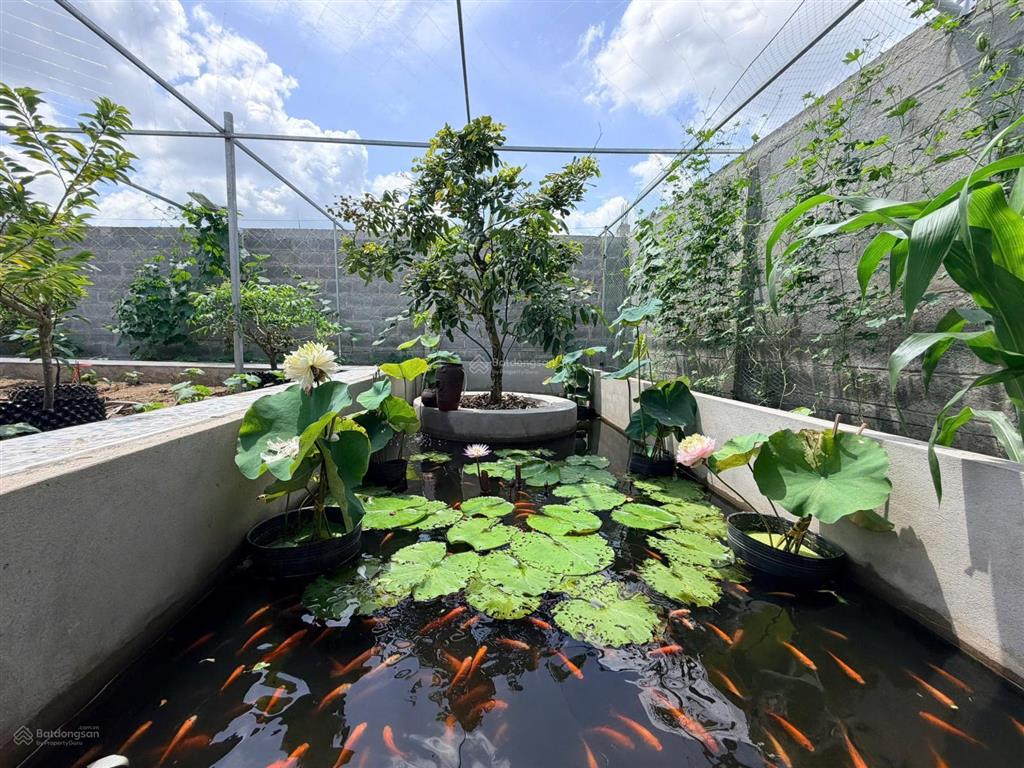 Nhà sân vườn, không gian sống đang mơ ước tại tân hiệp, châu thành, tg. giá chỉ 3 tỷ 860 triệu