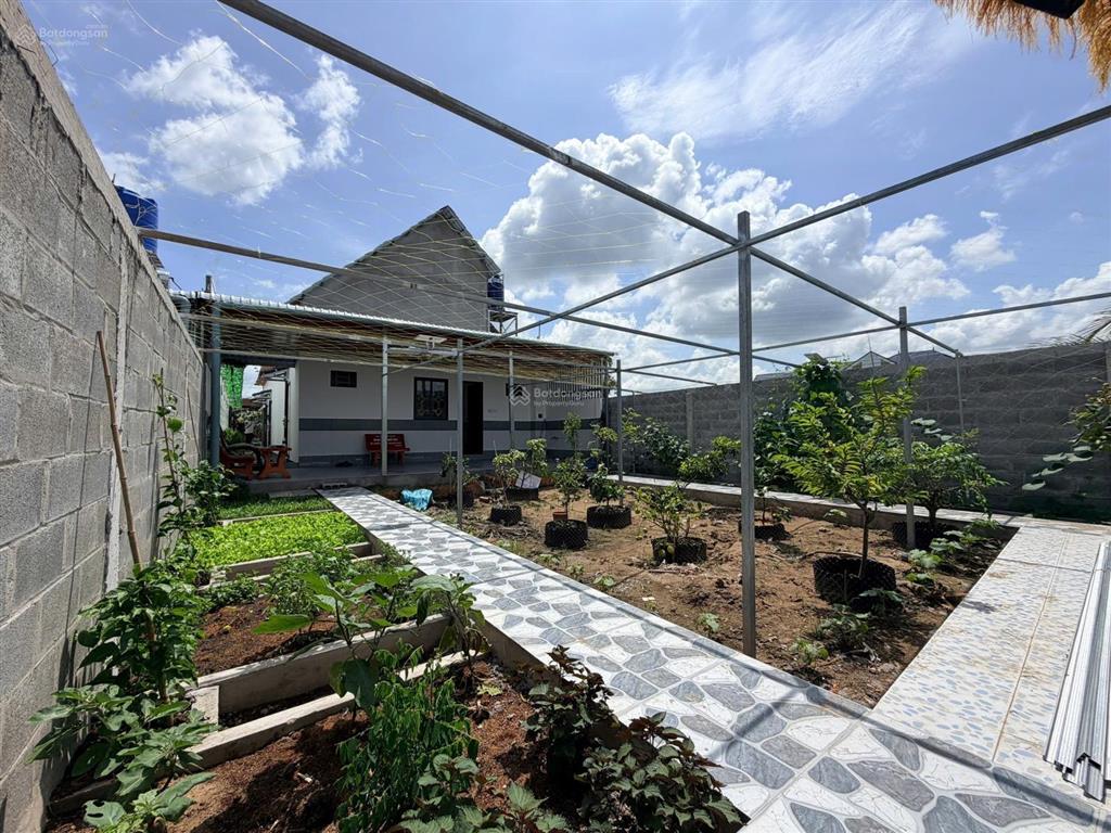Nhà sân vườn, không gian sống đang mơ ước tại tân hiệp, châu thành, tg. giá chỉ 3 tỷ 860 triệu