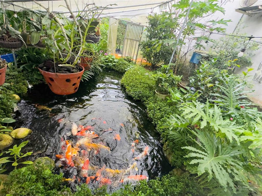Bán đất thổ cư trung tâm phường 2 bảo lộc, lâm đồng