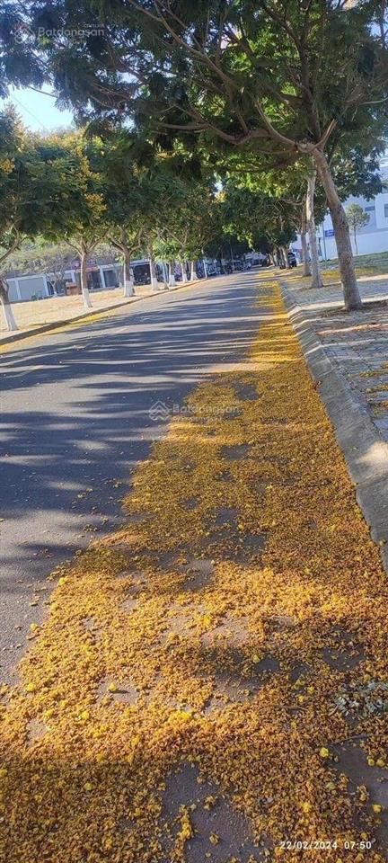 Đất nền đông tăng long giá tốt  tiềm năng tăng giá cao  7,35 tỷ 105m2 mua ngay