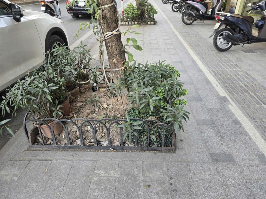 Chủ cần gấp hạ 6tỷ còn 59tỷ nhà mặt phố thái hà 190m2 giá đầu tư 59 tỷ chỉ 305 tr/m2 đống đa