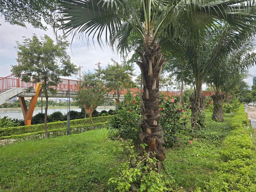 Chủ đang thế chấp sổ ngân hàng cần bán gấp đất phân lô ngọc thụy, 2 mặt ngõ, ô tô tránh 30m2 9,5 tỷ