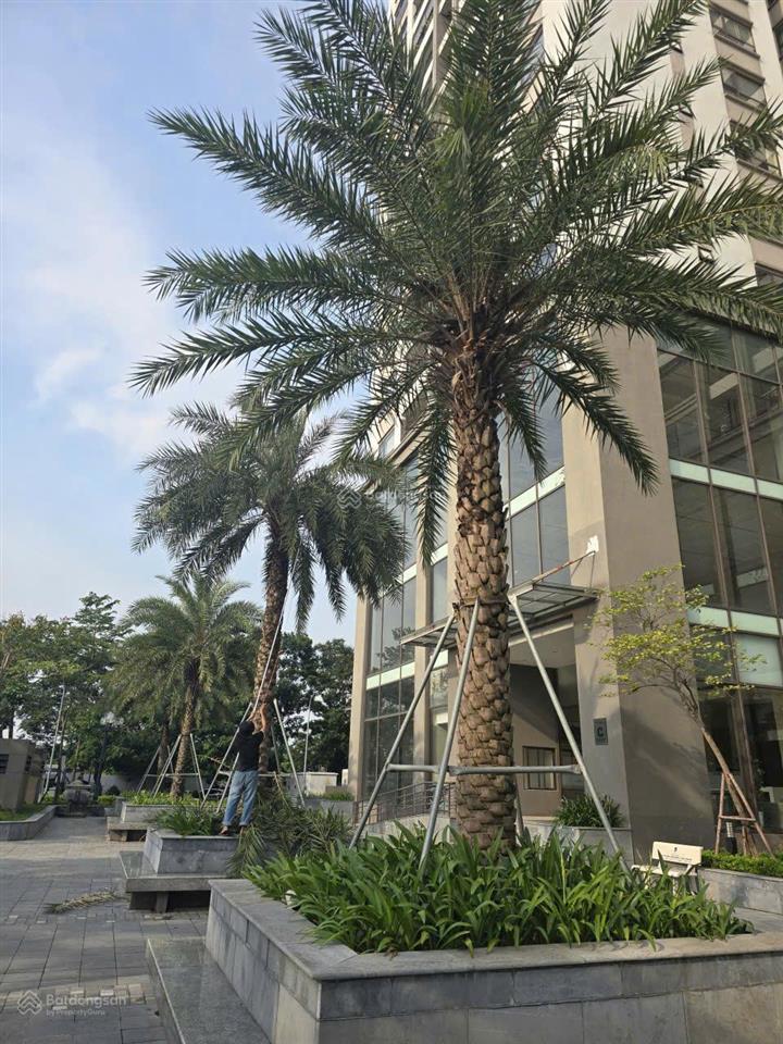Chủ vay bank cần bán gấp ch cao cấp udic westlake tháp c view nội khu 86m² 2pn 2wc giá chỉ 9.15tỷ