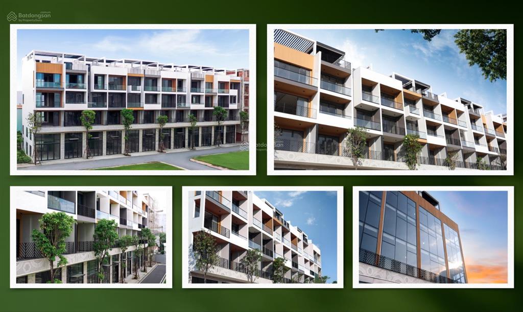 3 suất nội bộ the sholi 12,6 tỷ/ căn, chính sách cam kết mua lại , cộng lợi nhuận 16%