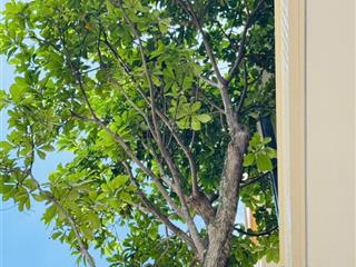 3 suất nội bộ the sholi 12,6 tỷ/ căn, chính sách cam kết mua lại , cộng lợi nhuận 16%