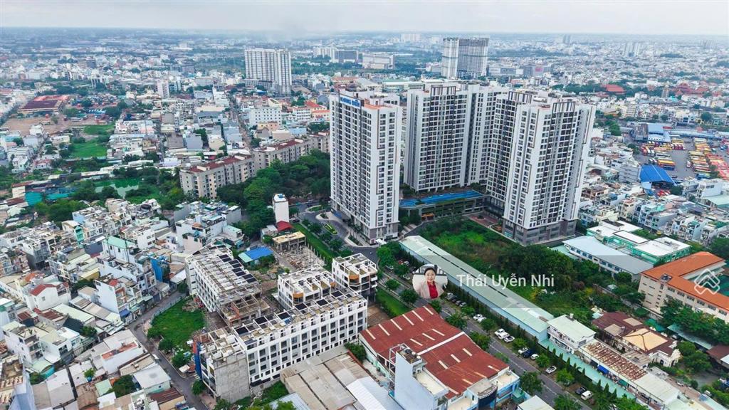 Suất nội bộ the sholi, chiết khấu 15%  chỉ dành cho khách làm việc trực tiếp