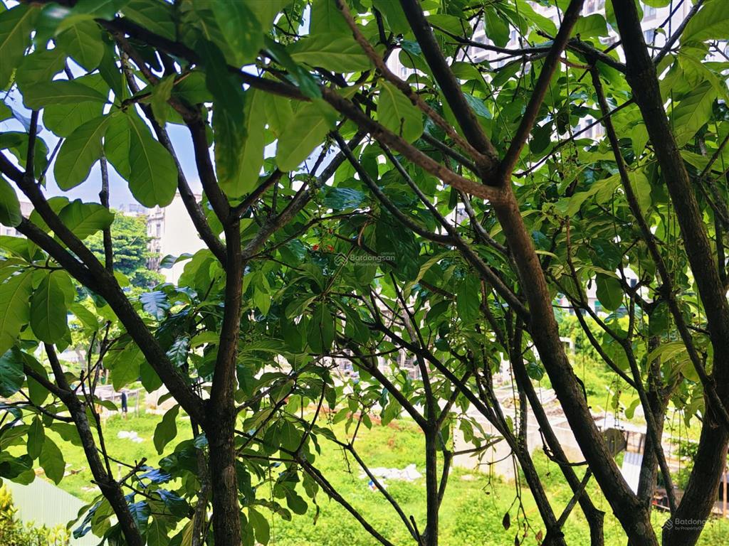 The sholi | nhà phố an dương vương phường an lạc, tphcm | 64m2 đất + 356 m2 dtsd | có thang máy.