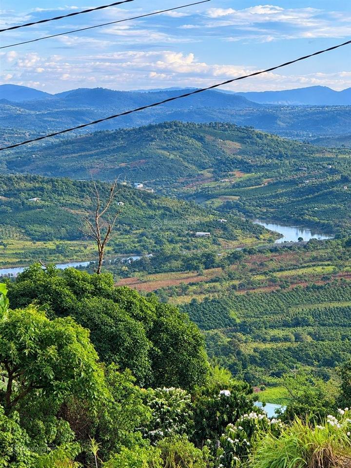 View sông, view máy bay, gần sân bay, có thổ cư, cần bán gấp