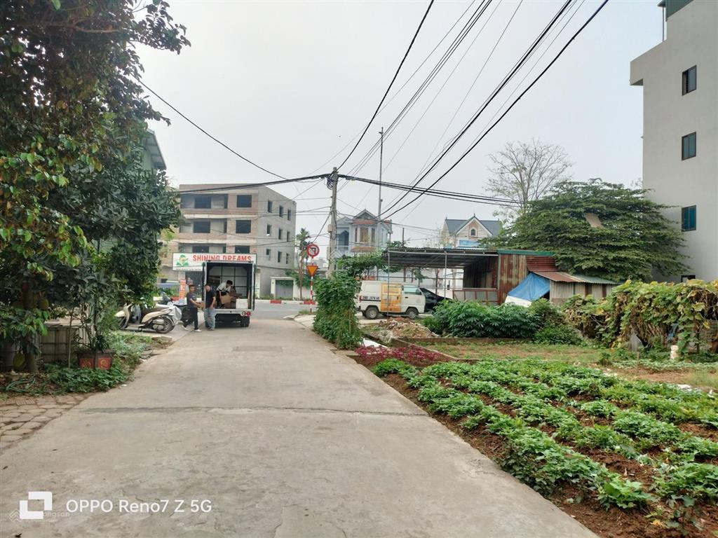 150m dv lại yên, chỉ 106tr/m2. giá đang rẻ mua luôn mảnh to, nhiều lợi ích