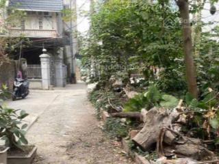 Chính chủ bán đất biên giang, cầu mai lĩnh đang mở rộng, gần vành đai 4.