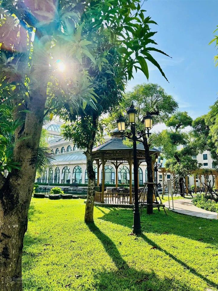 Nhỉnh 17 tỷ sở hũu ngay căn tứ lập đảo dừa vị trí vip nhất vin 2 chủ cần thanh khoản nhanh