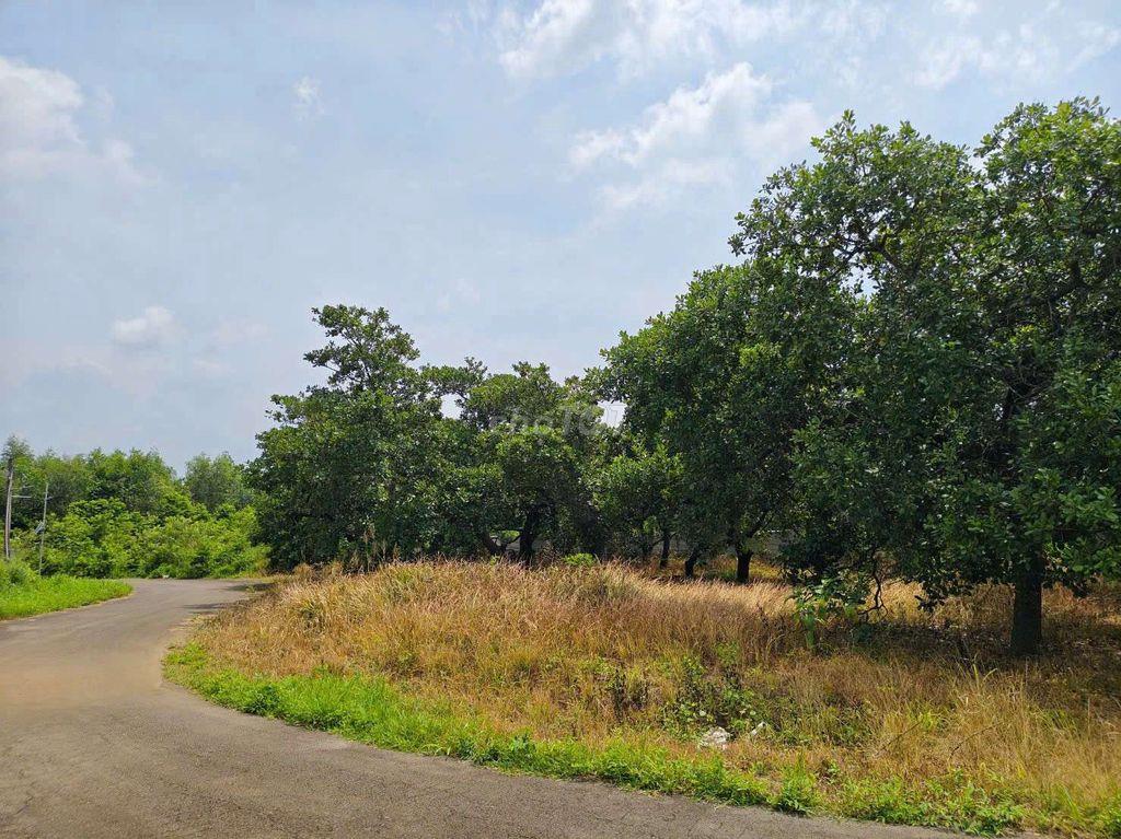 BÁN HƠN 5.200M² ĐẤT BÀU LƯƠN – DẦU GIÂY, ĐỒNG NAI