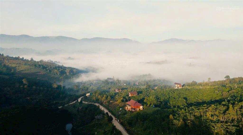 Chạm mây trên đỉnh aman cloud  6 vị trí nghỉ dưỡng đẹp nhất bảo lộc