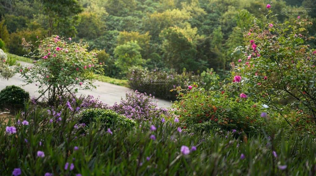 Chạm mây trên đỉnh aman cloud  6 vị trí nghỉ dưỡng đẹp nhất bảo lộc