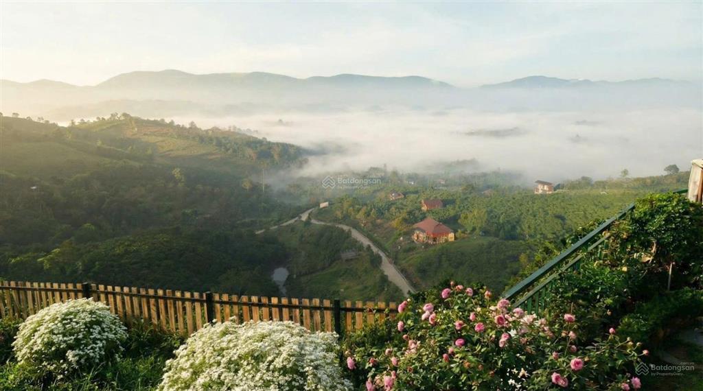 Hít thở cùng núi rừng tại làng oa bảo lộc  sở hữu đất nghỉ dưỡng 1000m2 thổ cư hơn 500m2