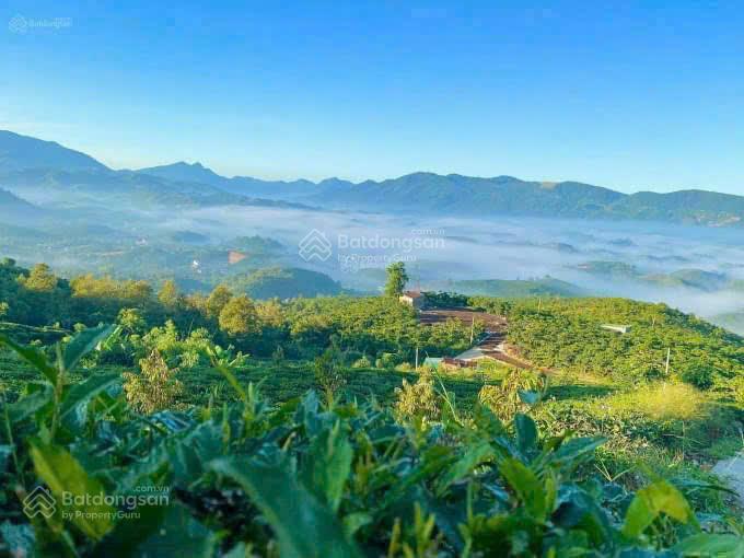 Chính chủ bán đất view hồ 1.000m2 tại lộc thành, bảo lâm. giá chỉ 1,5 tỷ,  0937 772 ***