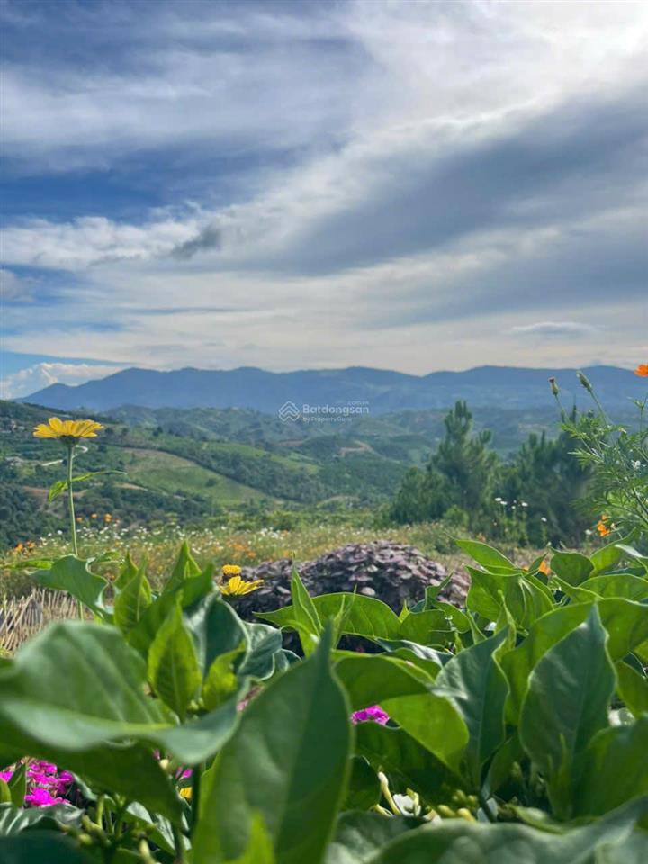 Chính chủ bán đất view hồ 1.000m2 tại lộc thành, bảo lâm. giá chỉ 1,5 tỷ,  0937 772 ***