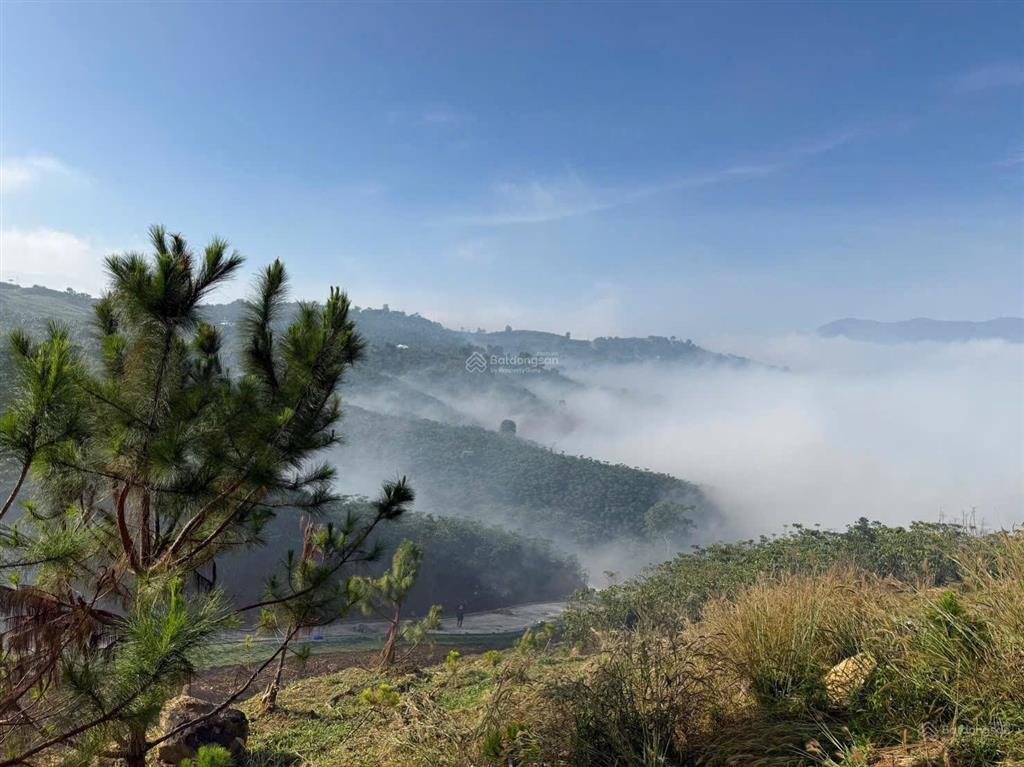 Chính chủ bán đất view hồ 1.000m2 tại lộc thành, bảo lâm. giá chỉ 1,5 tỷ,  0937 772 ***