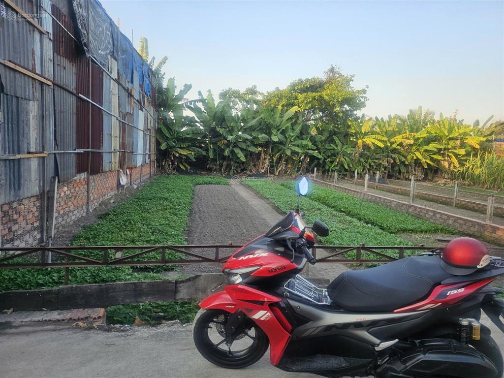 Bán nhanh lô đất đẹp hẻm xe hơi  giá tốt tại bình chánh.