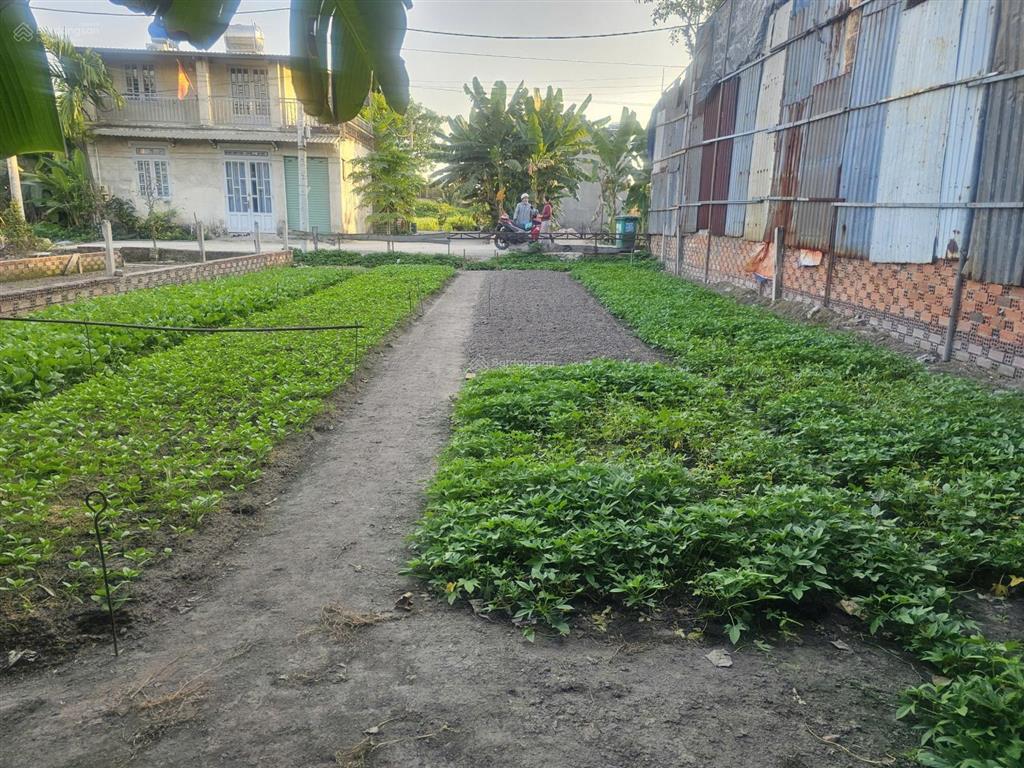 Bán nhanh lô đất đẹp hẻm xe hơi  giá tốt tại bình chánh.