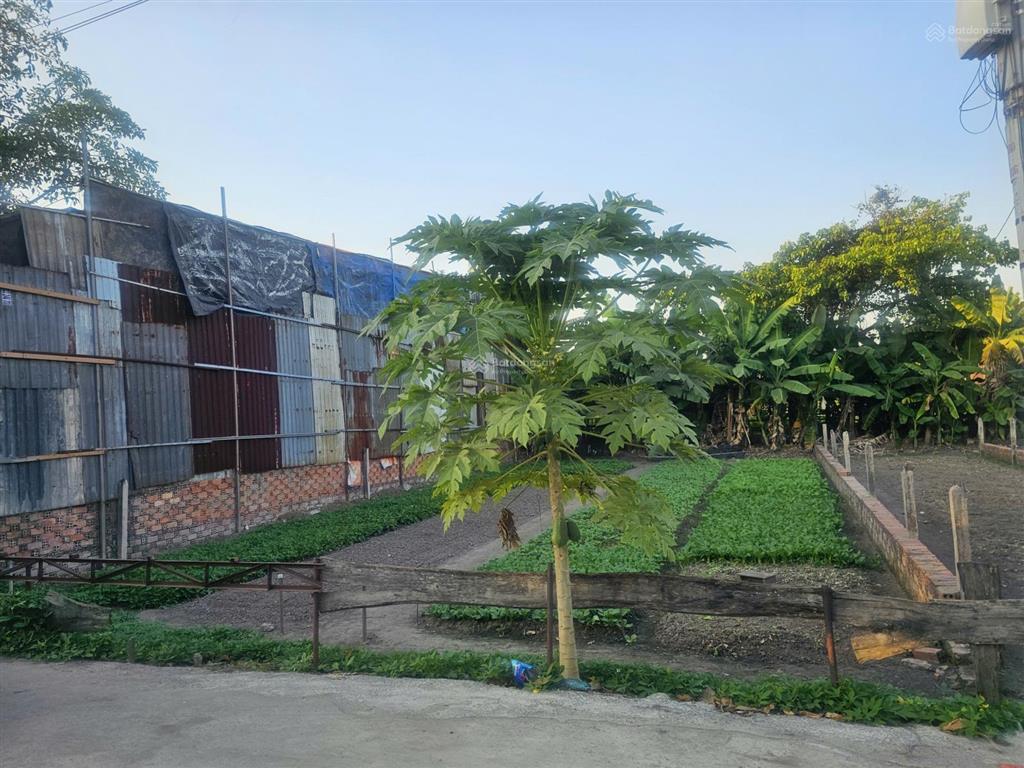 Bán nhanh lô đất đẹp hẻm xe hơi  giá tốt tại bình chánh.