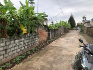 Chính chủ cần bán đất thôn thủ chính xã nam chínhtiền hải thái bình