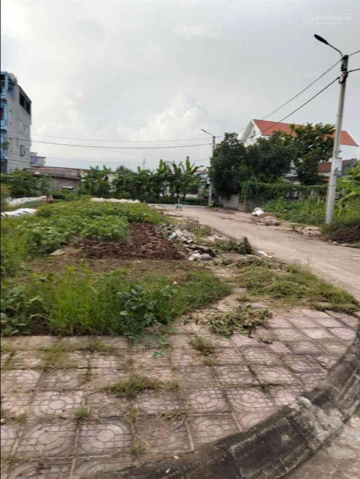 Đấu giá vân đình, ứng hòa, hà nội