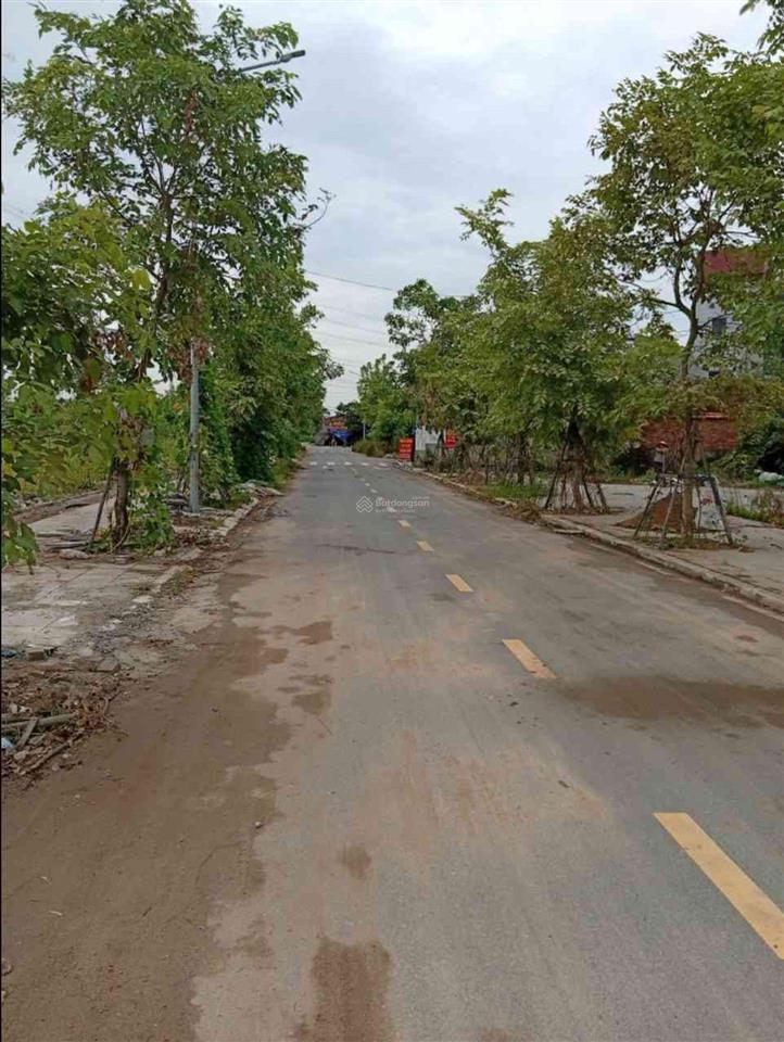 Tđc  thư lâm  đông anh hn 80m 4,65 tỷ