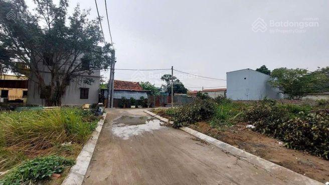 Đất đấu giá đại thanh thanh trì, hà nội | 50,5m 6,3 tỷ vị trí trung tâm khu a