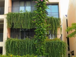 Thanh toán 50% nhận ngay căn villa trung tâm hội an cho thuê 80tr / tháng