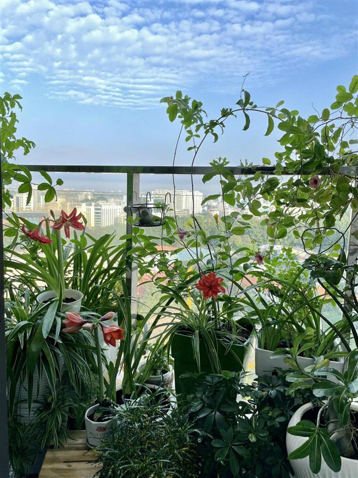 Bán căn hộ bán căn hộ chung cư kingston residence, 6,5 tỷ, 76m2 tại nguyễn văn trỗi, phú nhuận, hcm