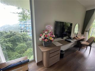 Bán ch 1pn, 1wc tại flamingo cat ba beach resort, 1,45 tỷ, 40m2, view đẹp, nhiều tiện ích