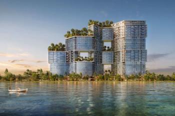 Bán cc sky forest residences, ecopark, rẻ hơn giá thị trường 200 triệu