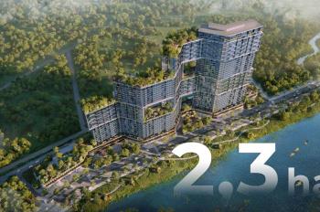Bán cc sky forest residences, ecopark, rẻ hơn giá thị trường 200 triệu