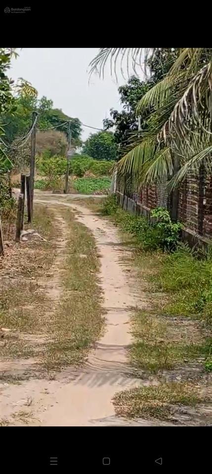 Chính chủ bán gấp 1.2ha đất đẹp long chữ chỉ 2 tỷ 550, long chữ bến cầu tây ninh