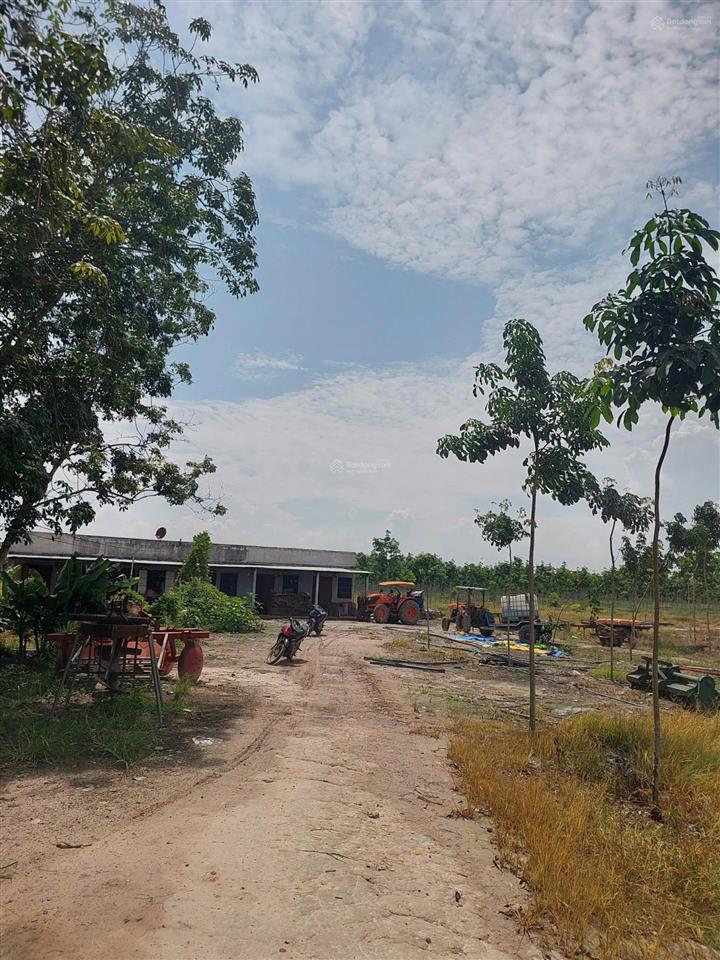 Chính chủ cần bán 32 mẫu đất cây lâu năm đang trồng cao su năm 3. giá 39,9 tỷ tl