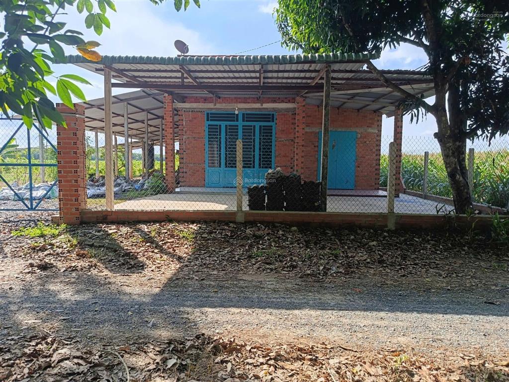 Cần bán nhà vườn tại tra sim ninh điền châu thành 2,3 hecta có 400 thổ cư và nhà giá 3 tỷ 820 triệu